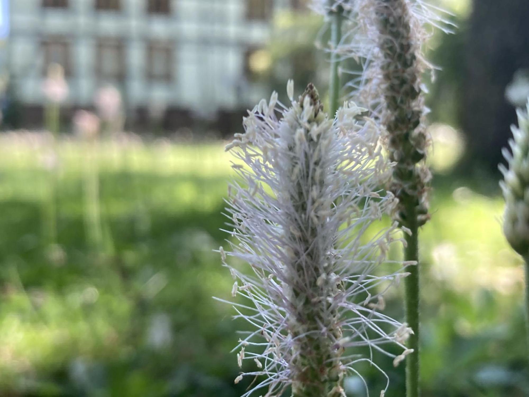 Poppenhaeuser Muehle Hofgeismar Bagian luar foto